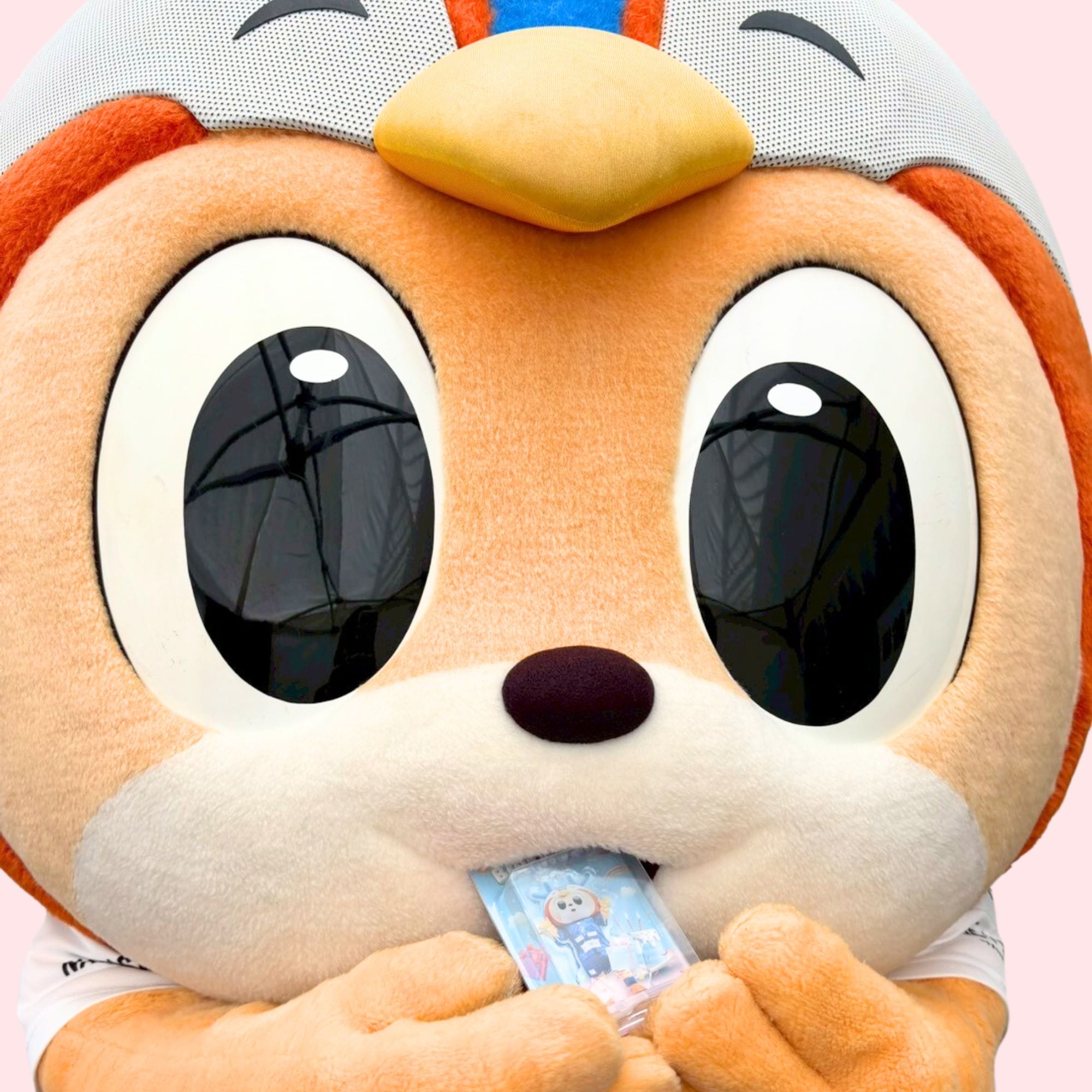ヴィヴィくん誕生日グッズlv・ファーレン長崎公式オンラインストア